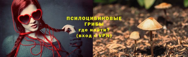 героин Алексин