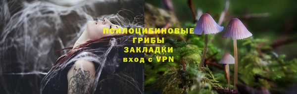 героин Алексин