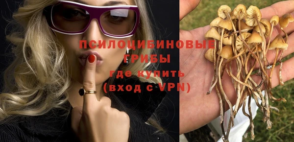 тгк Алзамай